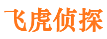 江城寻人公司